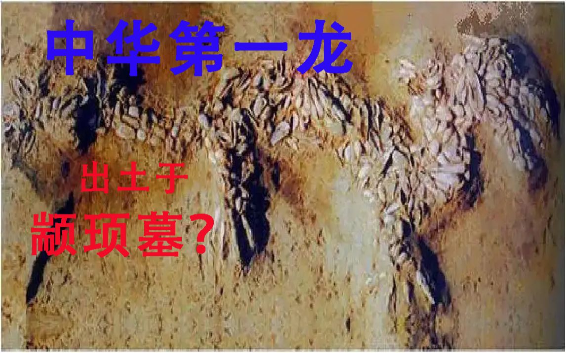 【中国古代设计029:中华第一龙】颛顼墓出土?哔哩哔哩bilibili