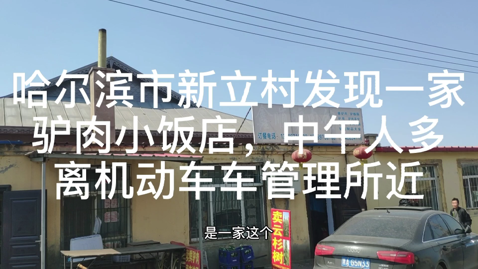 哈尔滨市朝阳乡新立村发现一家驴肉小饭店,中午人多,离机动车管理所近哔哩哔哩bilibili