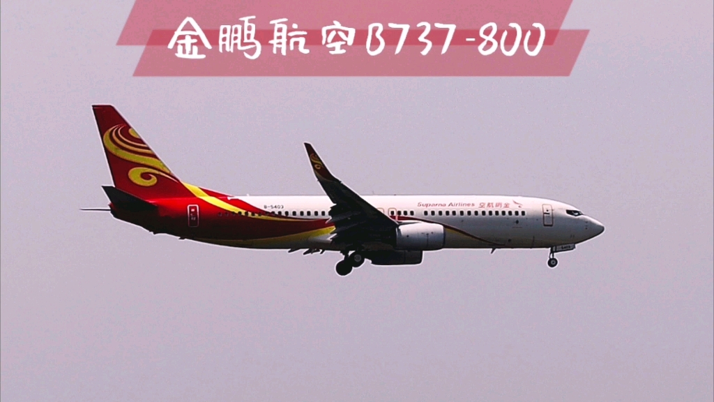 金鹏航空波音737800降落哔哩哔哩bilibili