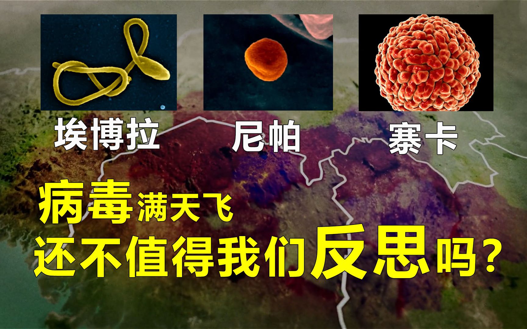 纪录片《病毒猎人》分享,豆瓣8.5!_哔哩哔哩_bilibili