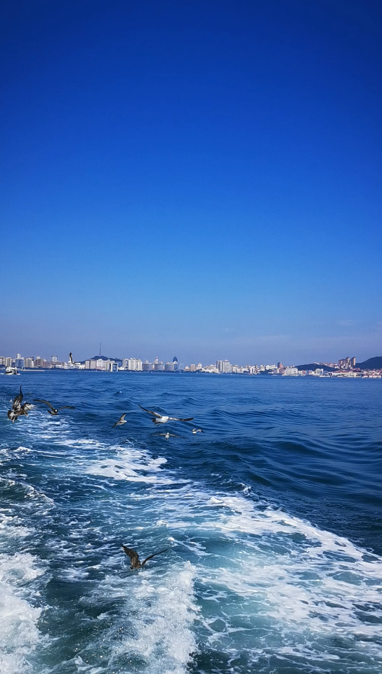 出海啦大海篇3山东威海2021725