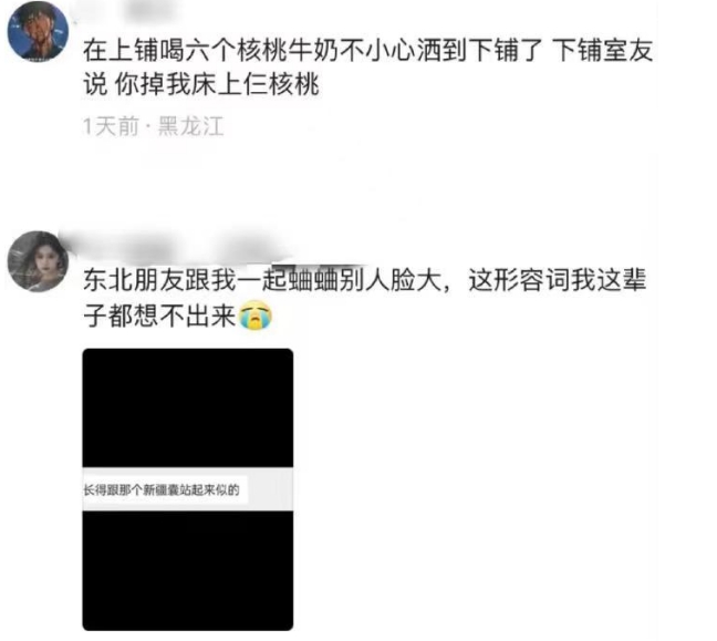 关于东北人阴阳怪气的幽默哔哩哔哩bilibili