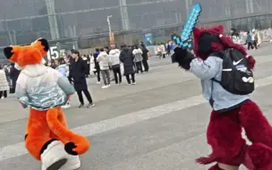 Download Video: 【Fursuit】一把剑，成了矛盾的导火索，陪同成了陪跑？！！