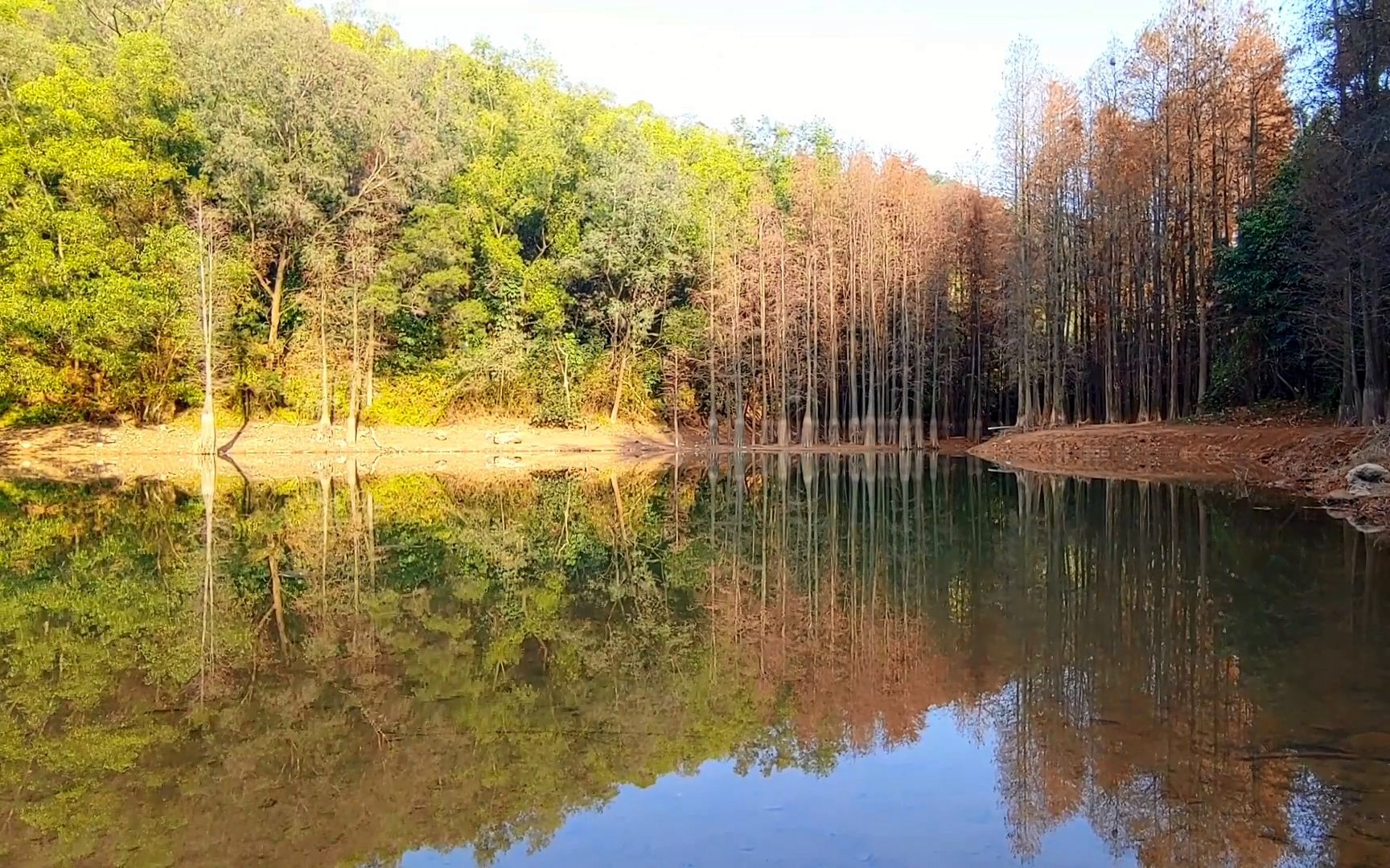 滴水岩:广州这不知名的森林公园,美得有点出乎我意料