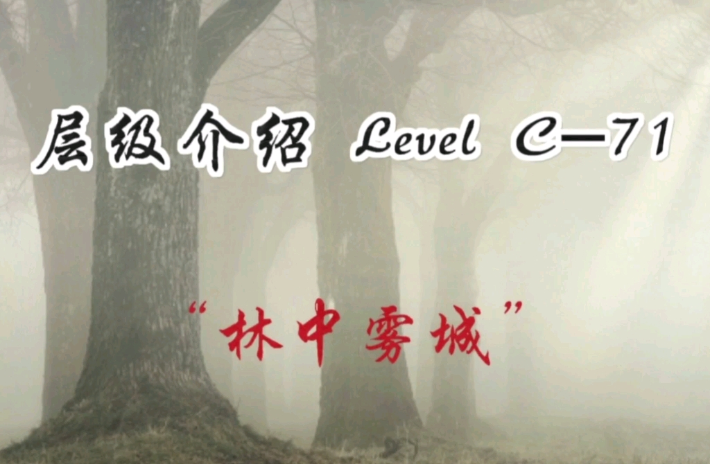 红星建筑部队主要基地 Level C71“林中雾城”哔哩哔哩bilibili