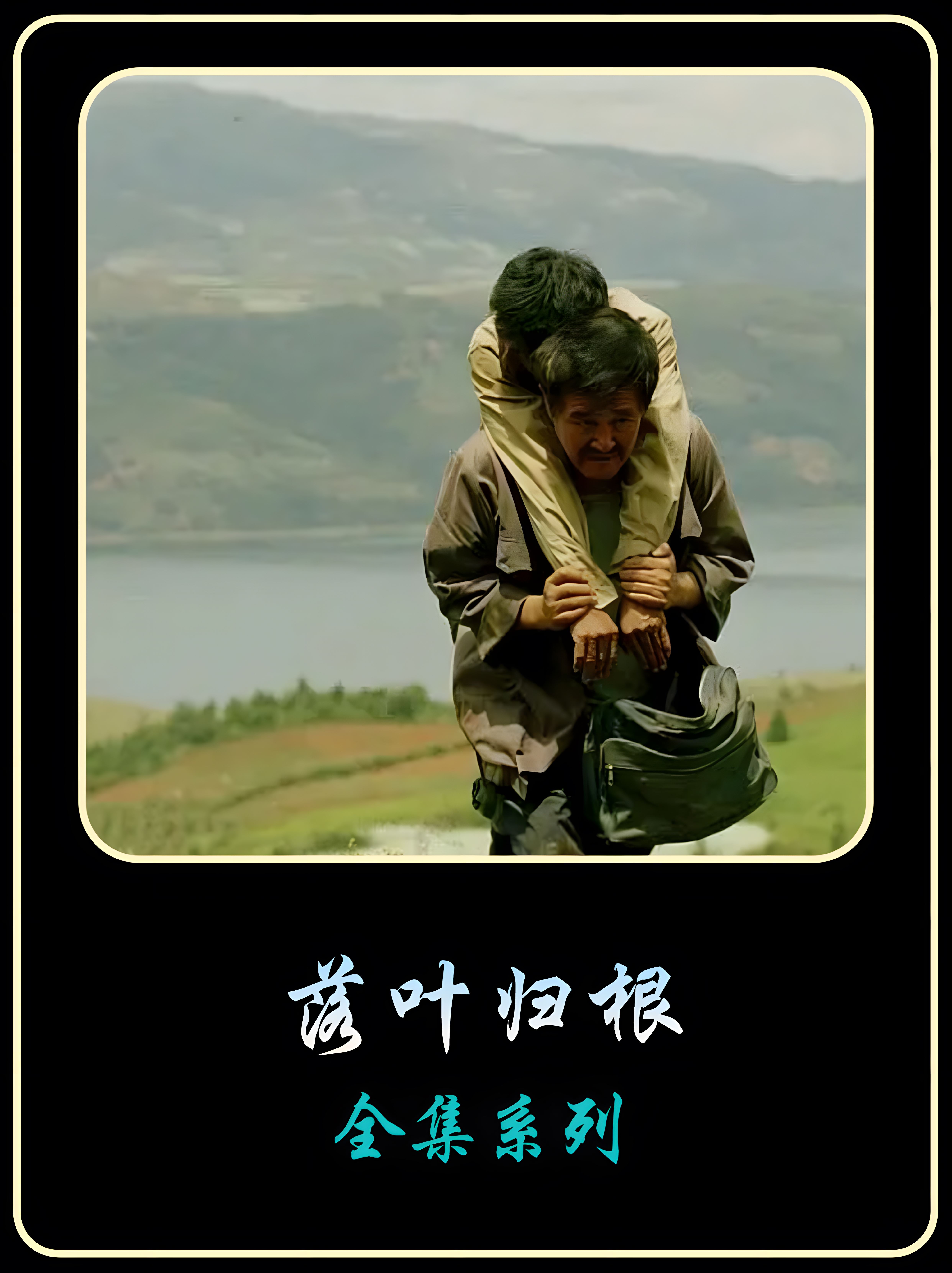 一口气看完《落叶归根》