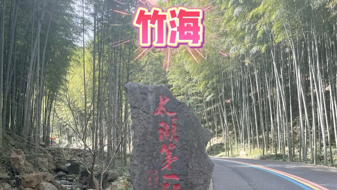 宜兴竹海261022