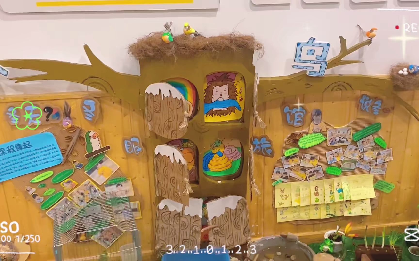 小班自然角及主题墙创设:小鸟说:"冬天你好"