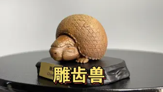 Descargar video: 动物星云联名雕齿兽