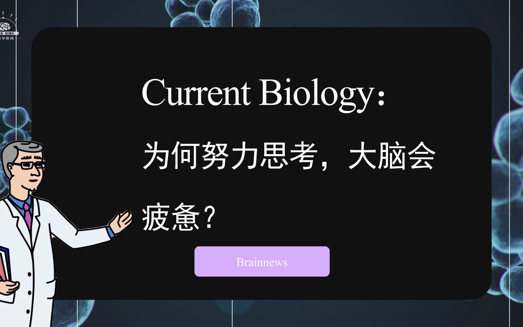 #Brainnews 【前沿快讯】Current Biology:为何努力思考,大脑会疲惫?哔哩哔哩bilibili