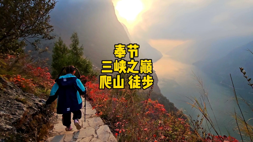 登三峡之巅,揽绝美风景,这条徒步路线非常值得,动车直达,诗城奉节的秋冬之美尽在这里#三峡之巅 #奉节 #徒步 #重庆美好推荐官 #重庆旅游攻略哔哩...