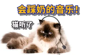 Скачать видео: 猫咪听了会踩奶的音乐，亲测有效!