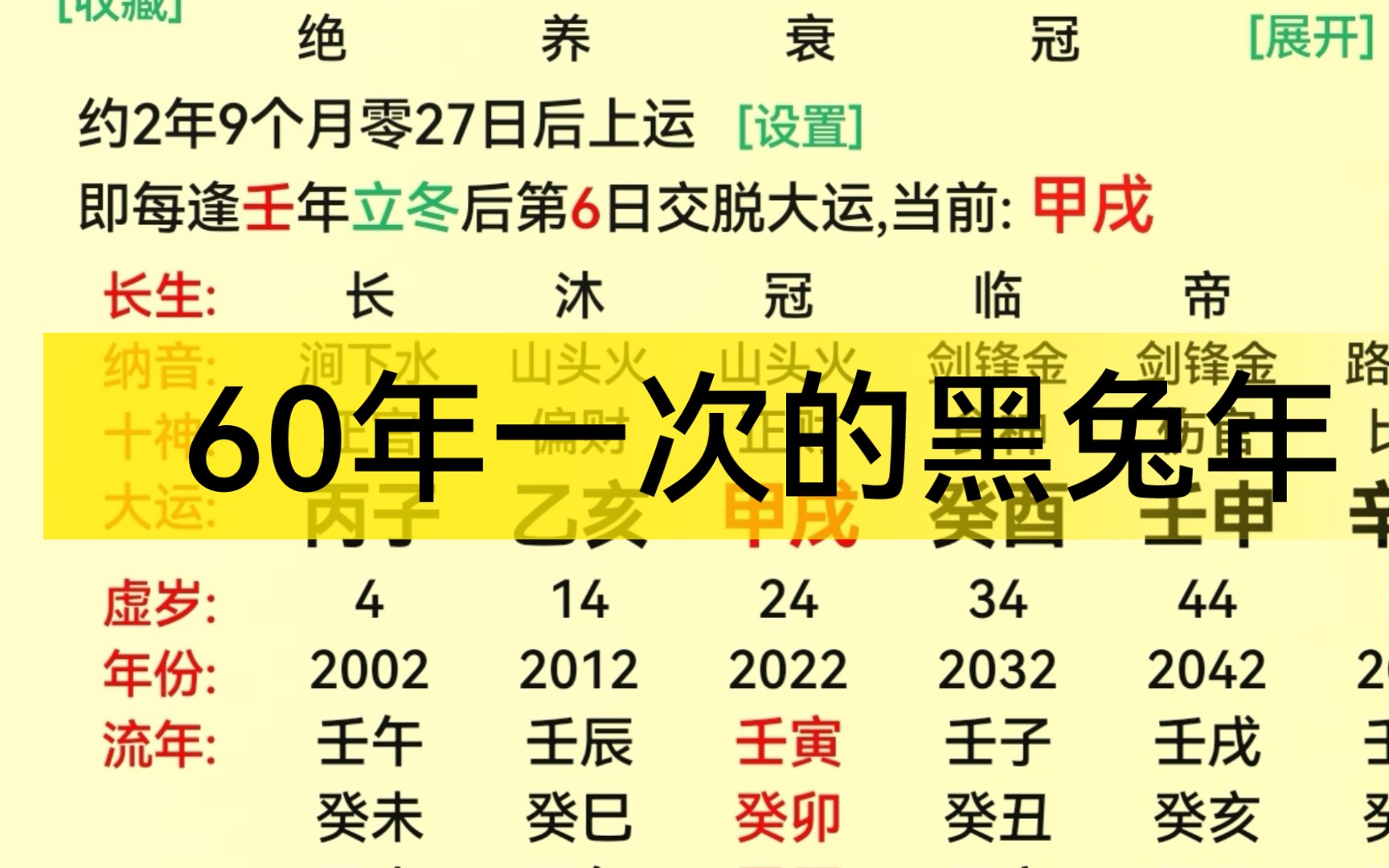 2023年,60年一次的黑兔年哔哩哔哩bilibili