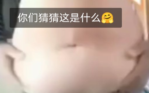 【铁岭双头怪】带凤牌猪油哔哩哔哩bilibili