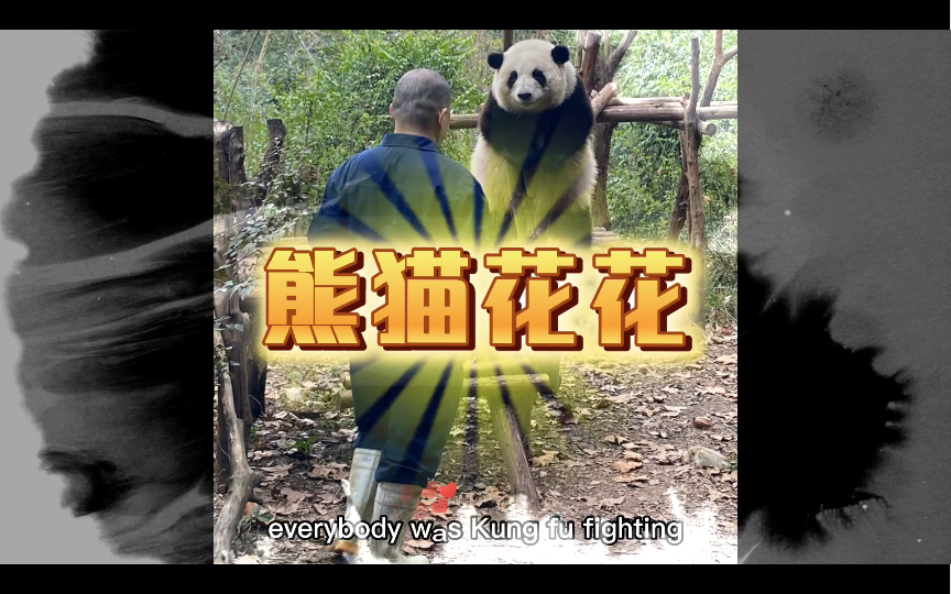 国宝顶流大熊猫花花 被宠爱的宝宝 萌萌哒可爱的功夫熊猫