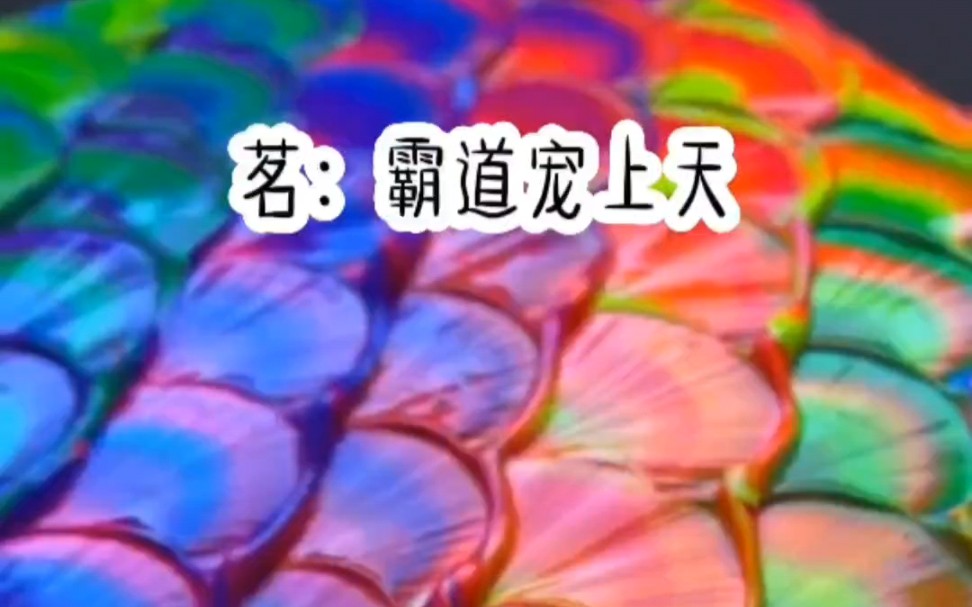 书旗【霸道宠上天】言情哔哩哔哩bilibili