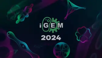 SCUT-China-B: Tumor-Specific Gene Nanoparticles (2024) - Team Presentation [Engl