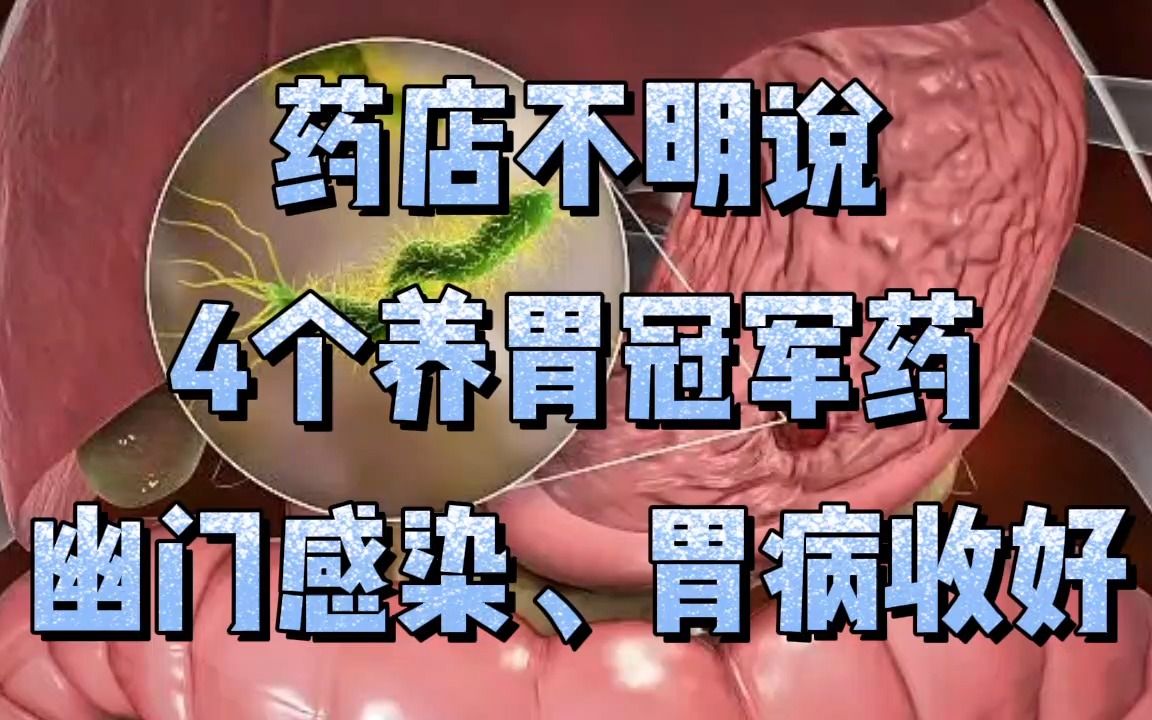 4个养胃冠军药,幽门螺杆菌感染,胃病收好哔哩哔哩bilibili