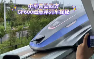 Descargar video: 【中国速度】贴地飞行梦！时速600km/h的磁悬浮列车探秘