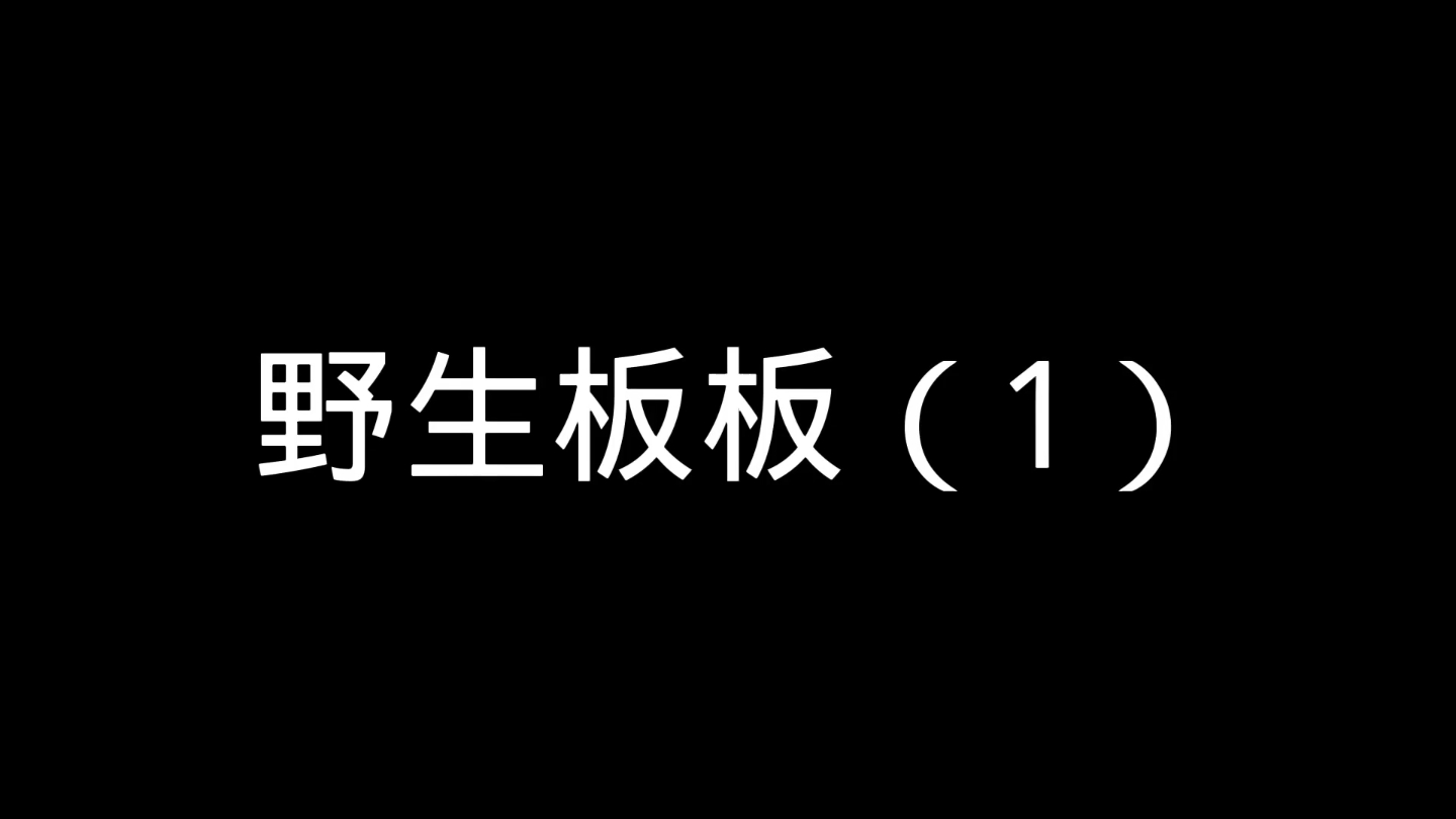 野生板板第一季合集手机游戏热门视频