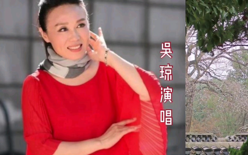 [图]【黄梅戏专辑】《黄梅飘香》金嗓子吴琼演唱