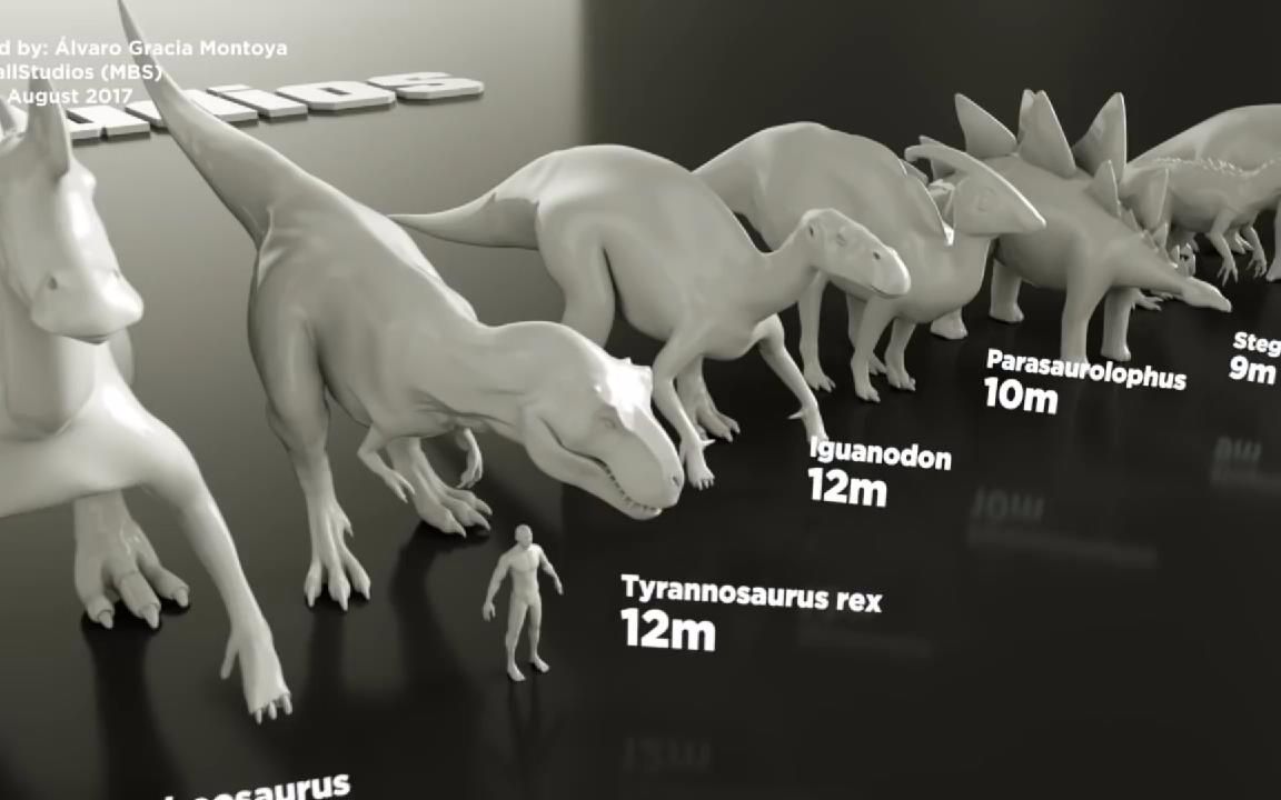 恐龙模型大集合,通过模型对比它们的体型哔哩哔哩bilibili
