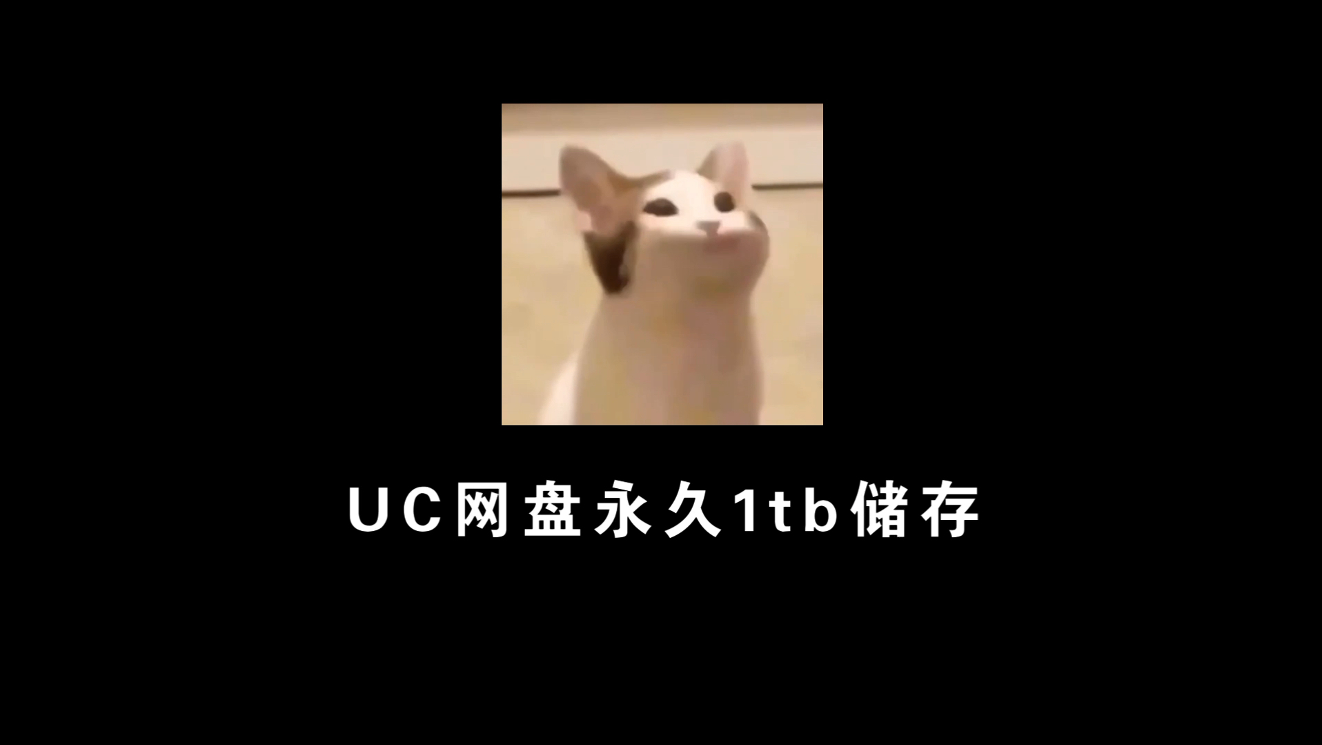 uc网盘永久1tb储存,要的快来快来哔哩哔哩bilibili