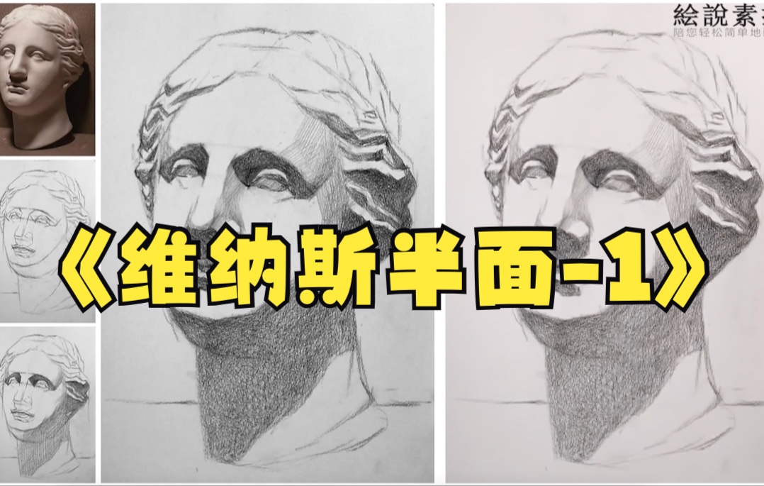 素描石膏头像维纳斯半面1打形铺调子思维哔哩哔哩bilibili