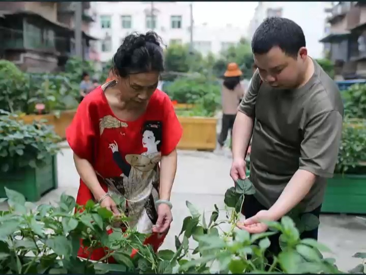 哪些情况,业委会可以启动选聘或解聘物业的相关程序哔哩哔哩bilibili