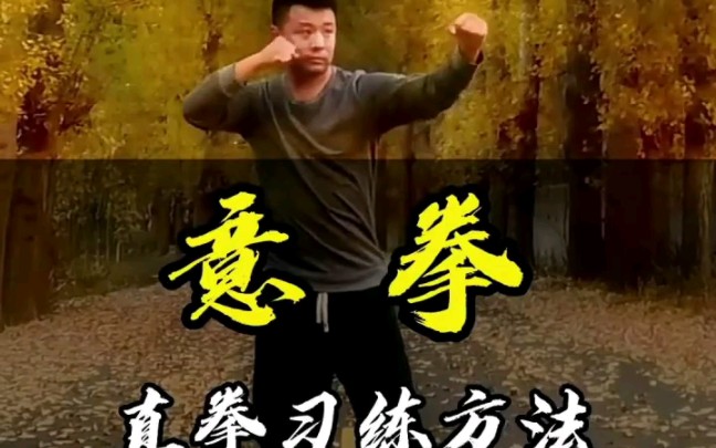 [图]北京散打锦标赛冠军郭巍意拳教学-直拳 钻拳 栽拳 进退步