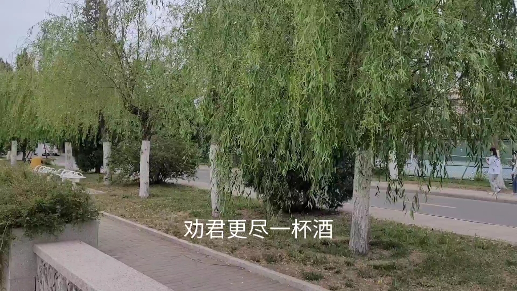 [图]阳关曲|阳关三叠|渭城曲|王维|魏氏乐谱|刘崇德|薄克礼|古诗词|清唱