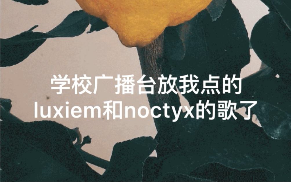 [图]【】我点的luxiem和noctyx的歌被学校广播台播放了！【】