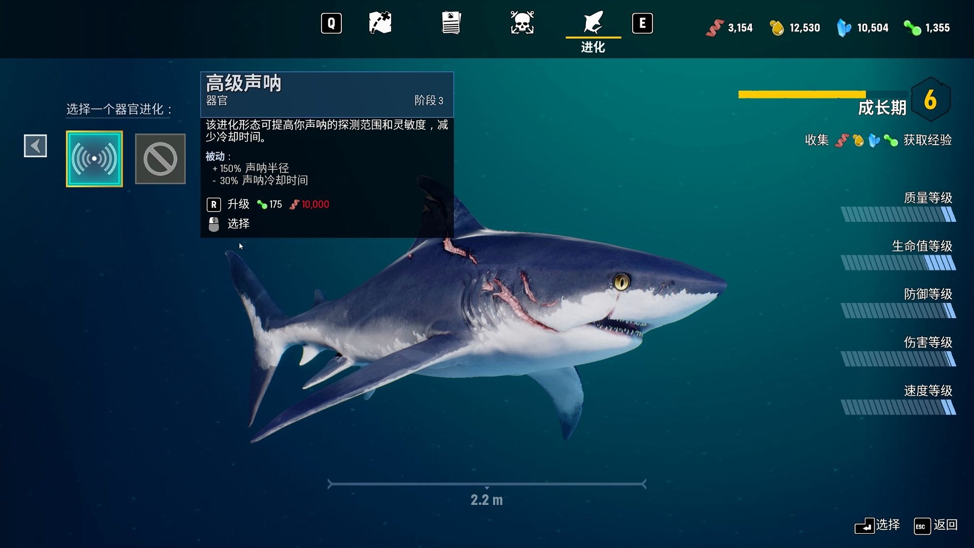 亚成年牛鲨vs赏金猎人-食人鲨