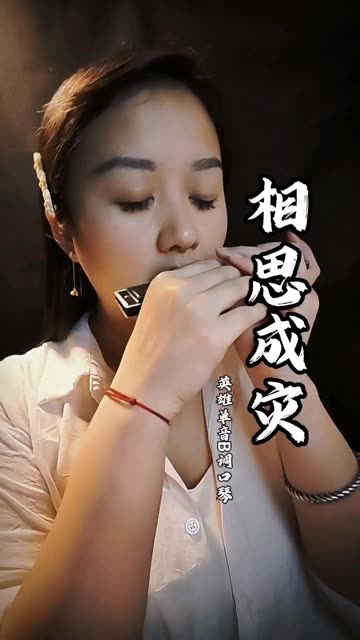 相思成灾…英雄单音b调