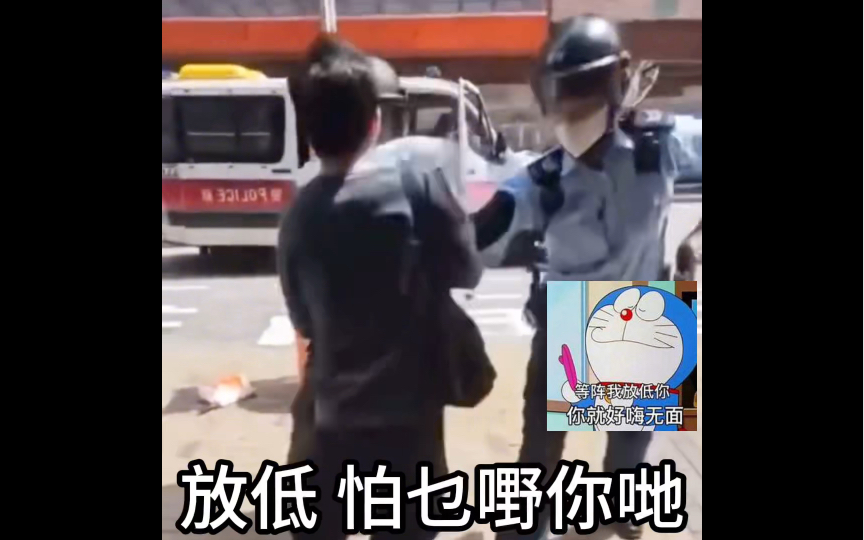 香港双刀火鸡随街行走随后阿sir将它温柔制服场面令人感动哔哩哔哩bilibili