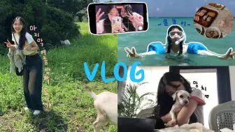 Download Video: 【Gaehyon】VLOG.｜在济州岛结束的夏天🏖️｜和朋友一起旅行｜最后一次玩水｜皮艇｜假期休息