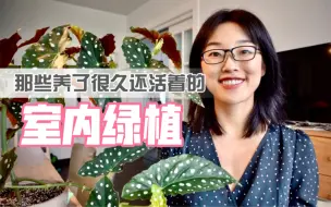 Download Video: 「山乌龟」你有一片新叶请查收｜江浙沪当季室内植物分享 | 状态记录