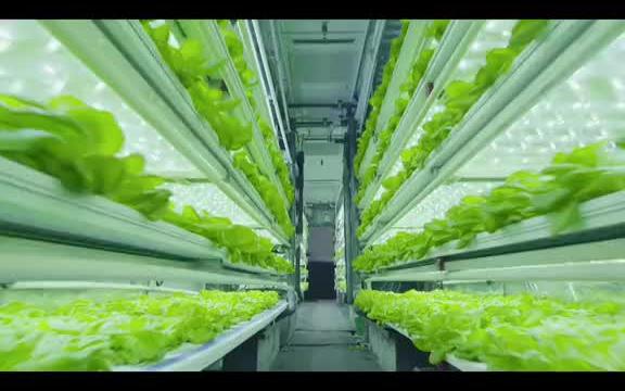 未来的城市周边用这样的集装箱种菜,你想不想试一下呢