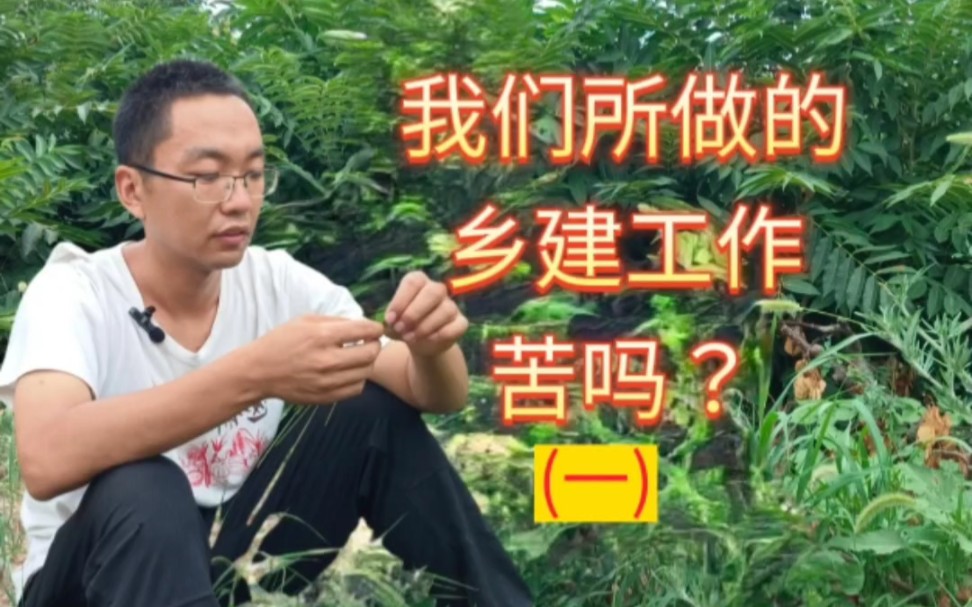 我想这是个感兴趣的话题Ⅰ乡建苦吗?哔哩哔哩bilibili