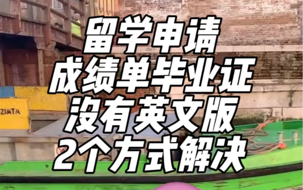 留学申请,成绩单毕业证没有英文版,2个方式解决!哔哩哔哩bilibili