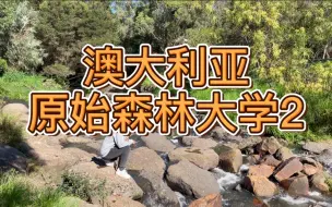 Video herunterladen: 【大学什么样】“掉头发” 和“养生”的技能同时点满