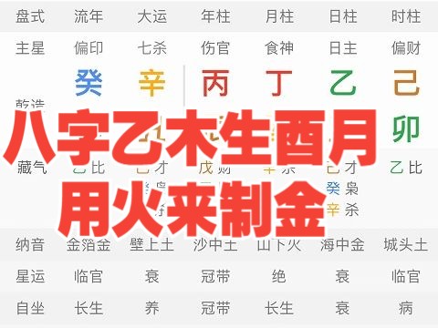 [图]八字乙木生酉月用火来制金！