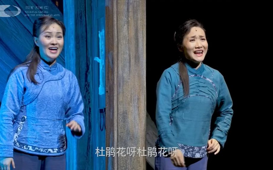 [图]雷佳-民族歌剧党的女儿演出视频国家大剧院版杜鹃花