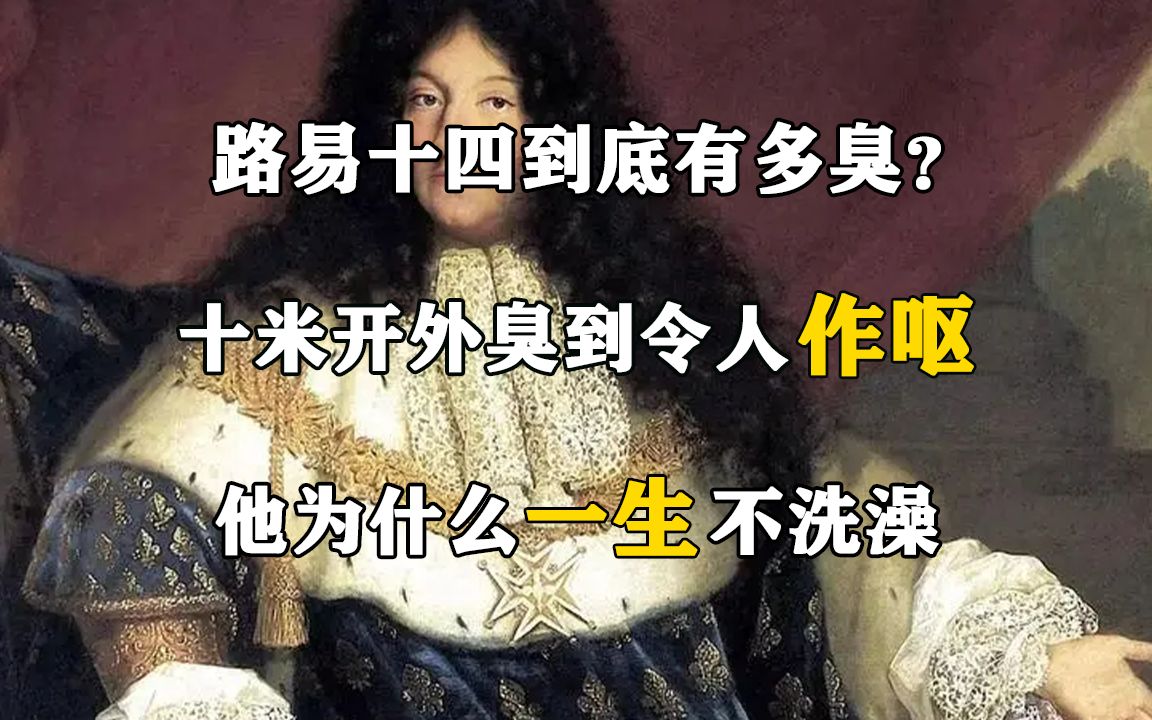 路易十四到底有多臭?十米开外臭到令人作呕,他为什么一生不洗澡哔哩哔哩bilibili