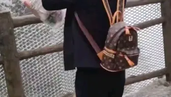 不会带团队，你就只能干到s
