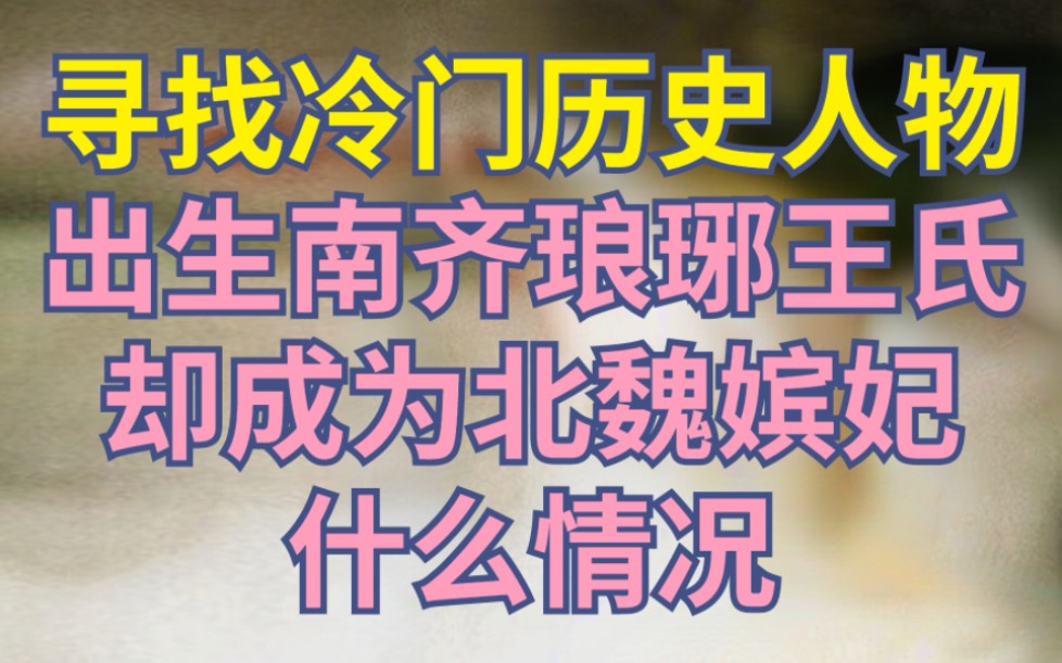 出生南齐琅琊王氏,却成为北魏宣武帝妃嫔,什么情况?【古代女性ⷧŽ‹普贤】哔哩哔哩bilibili