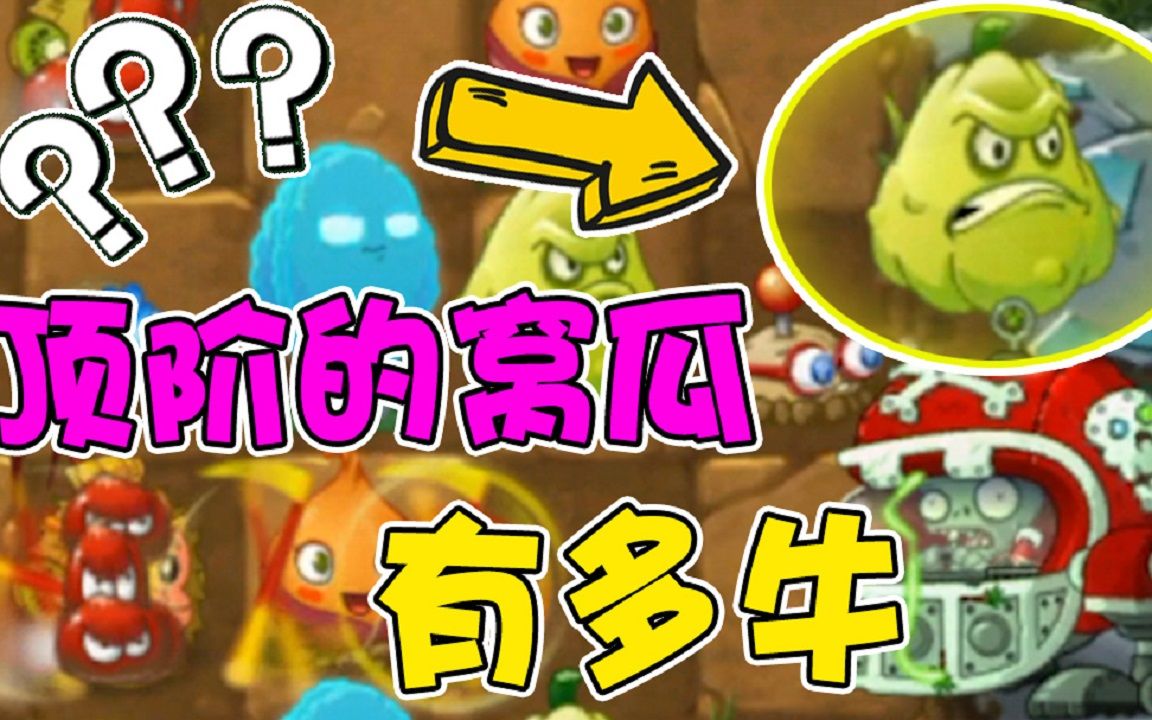 植物大战僵尸:顶阶的窝瓜有多牛?大嘴亲自实验!
