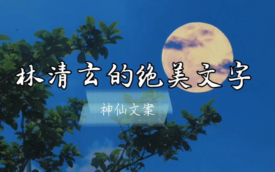 【林清玄】如果你感到浮躁、不安、绝望,就来读读林清玄吧!他的文字宛如一淌清泉缓缓流进你的心……哔哩哔哩bilibili