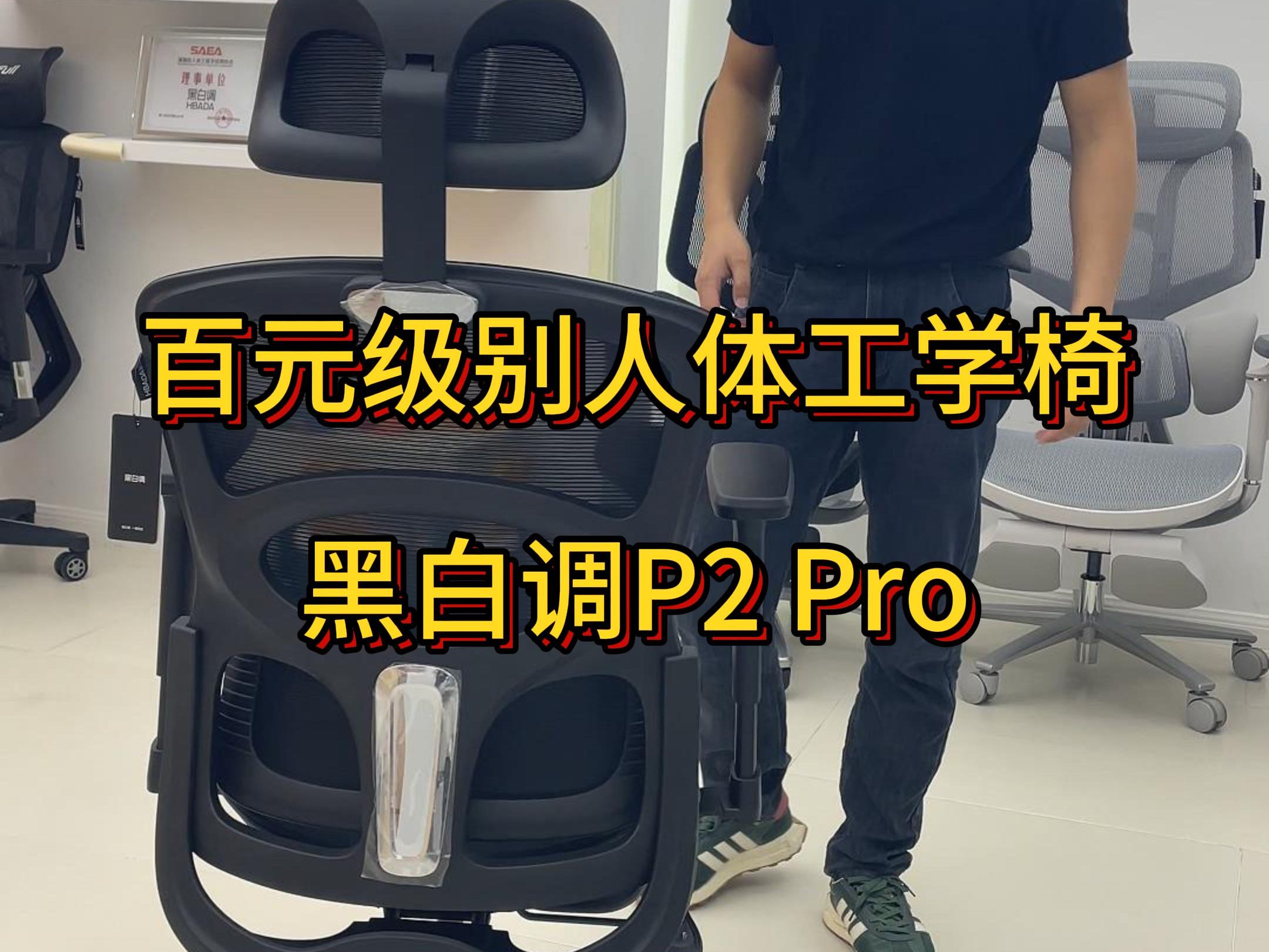 黑白调P2pro,入门款人体工学椅首选.哔哩哔哩bilibili