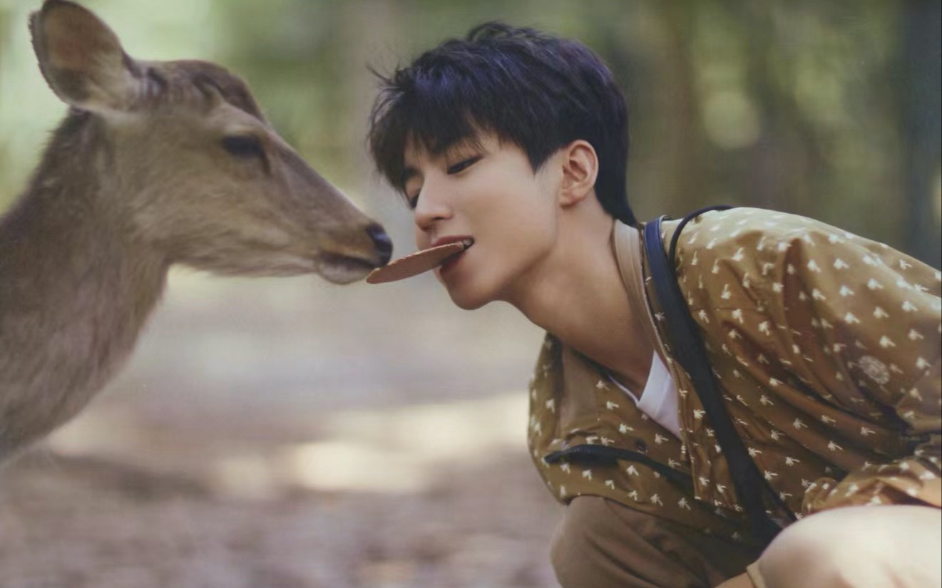 走进联合国环境规划署亲善大使王俊凯,剖析北电秘籍.